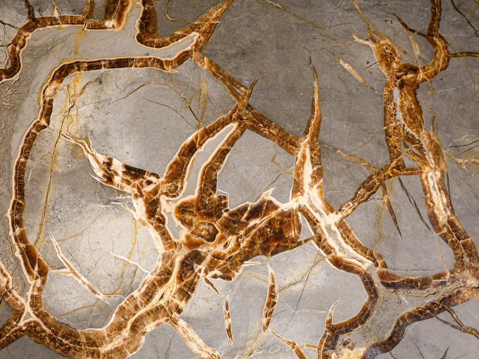 Sienna-veined natural stone in close detail